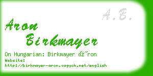 aron birkmayer business card